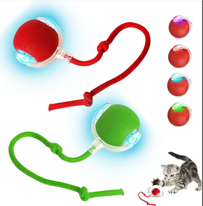 PELOTA INTERACTIVA PARA MASCOTAS