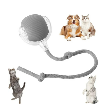 PELOTA INTERACTIVA PARA MASCOTAS