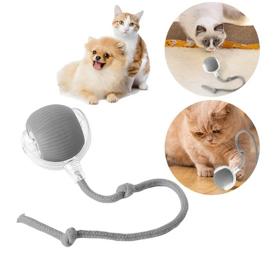 PELOTA INTERACTIVA PARA MASCOTAS